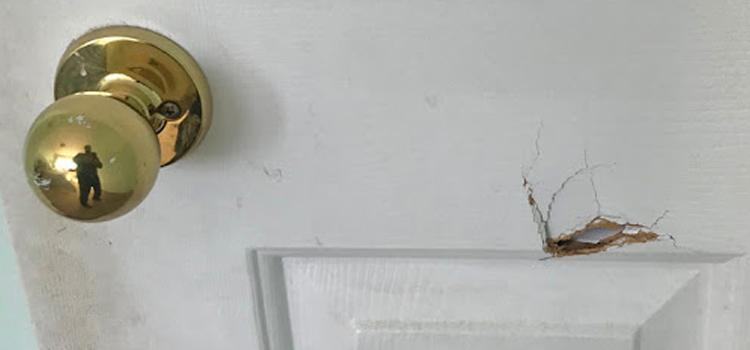 interior door hole repair Country Walk