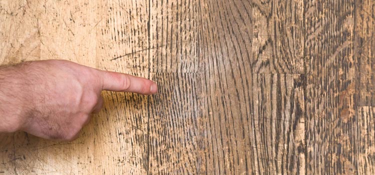 Wood Door Scratch Repair in Country Walk