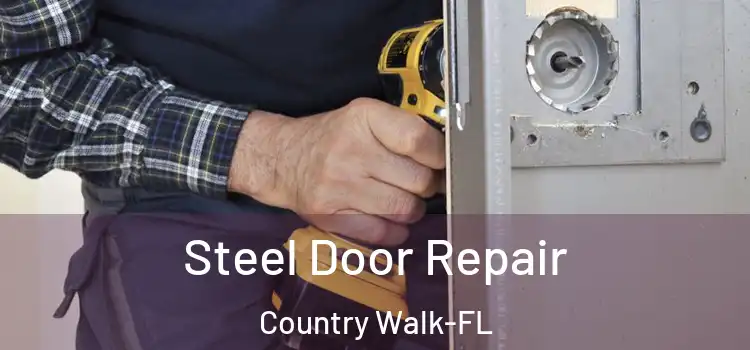  Steel Door Repair Country Walk-FL
