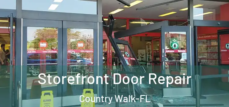  Storefront Door Repair Country Walk-FL